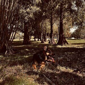 Meet your Posher, Christina